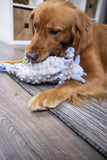 Dinos Frills Squeaky Plush Dog Toy