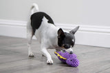 Dino Bruto Squeaky Plush Dog Toy - Chew Guard Technology