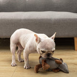 Armadillo Tough Plush Dog Toy with Squeaker