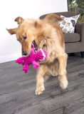 Gators Squeaky Plush Dog Toy, Chew Guard Technology - Pink, Large