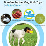 Nearly Indestructible Squeaky Dog Ball for Aggressive Chewers 