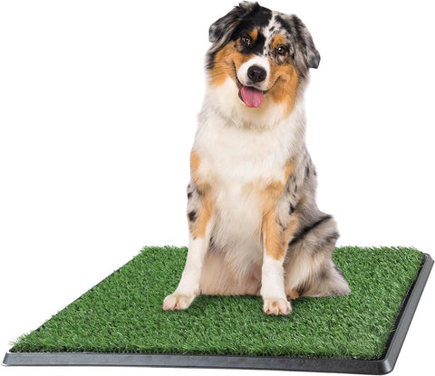 Artificial Grass Puppy Pee Pad for Dogs and Small Pets - 20X25 Reusable 3-Layer Training Potty Pad with Tray 